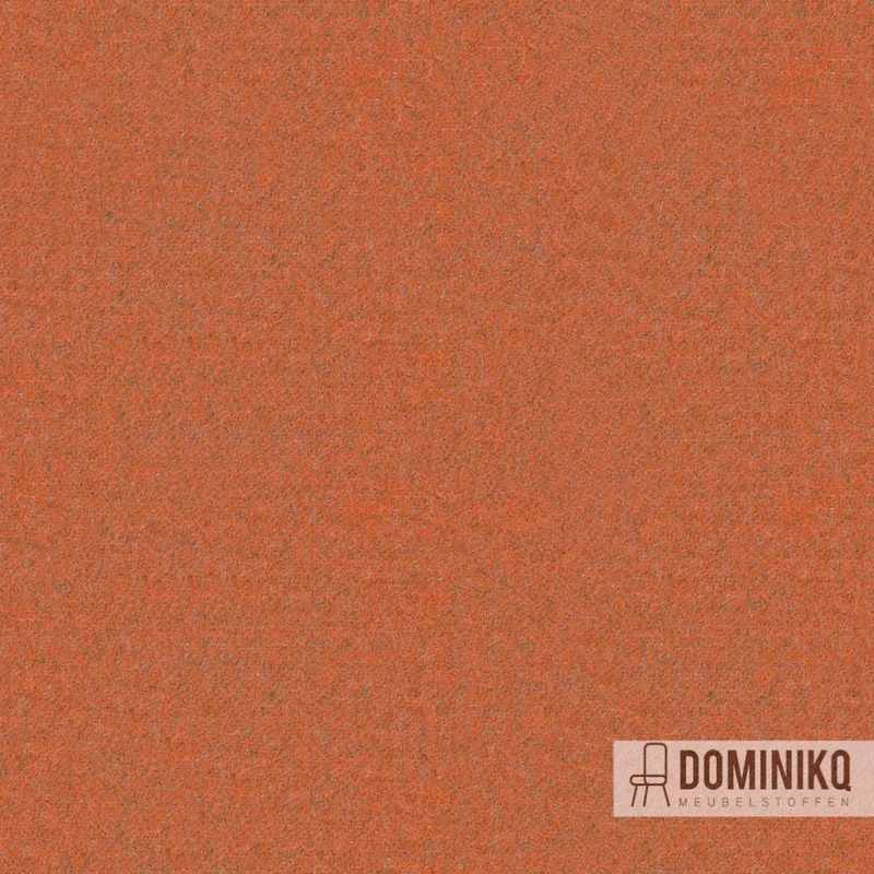 Camira Fabrics - Synergy - LDS83 - Se rassembler