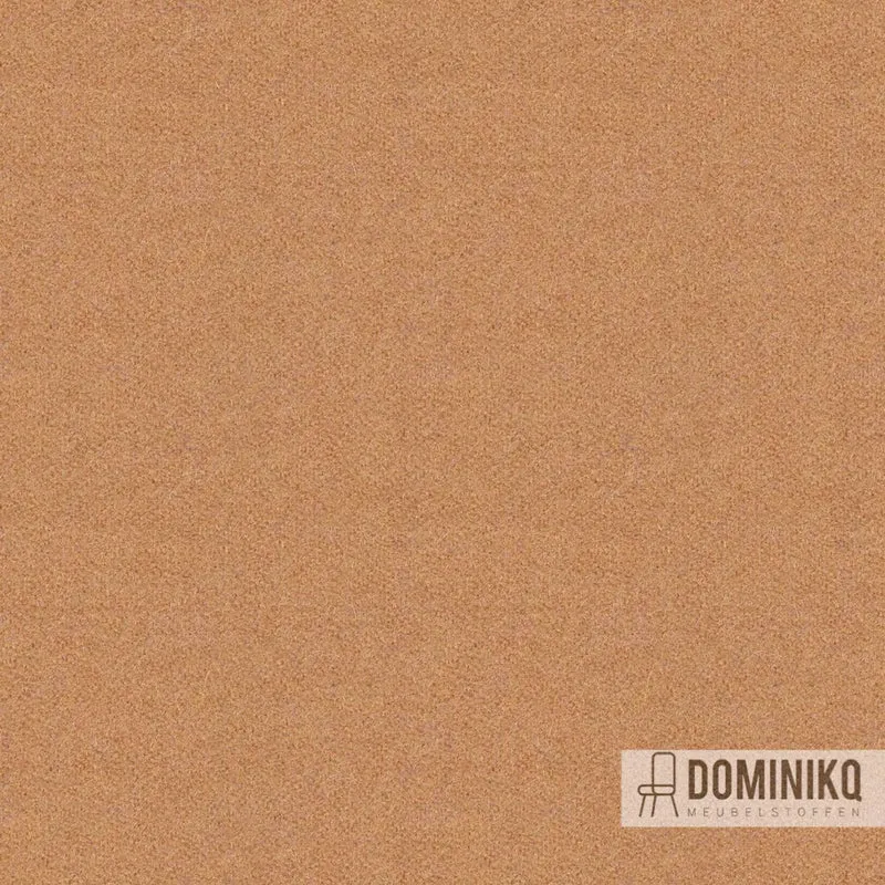 Camira Fabrics - Synergy 170 - LDP18 - Boucle