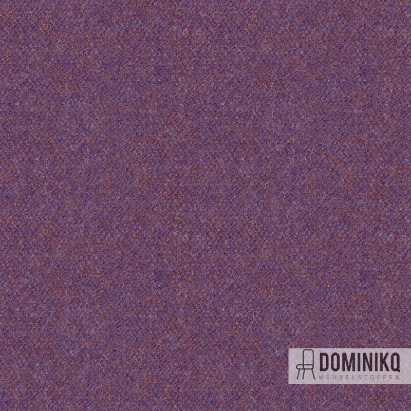 Camira Fabrics - Synergy 170 - LDP66 - Bourse
