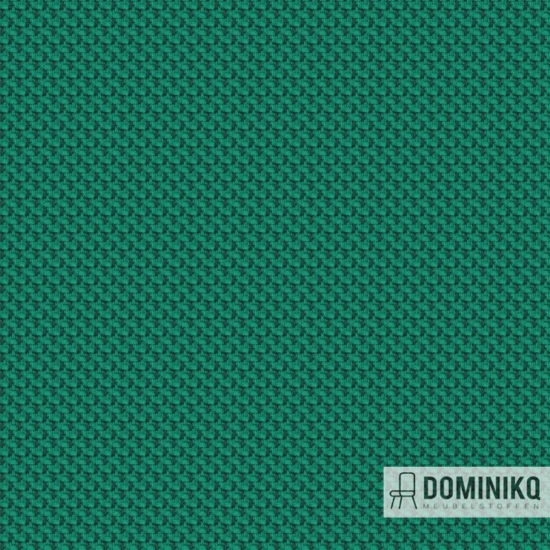 Camira - RePlay - REP10 Step