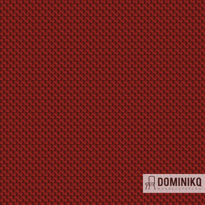Camira - RePlay - REP21 Déplacement