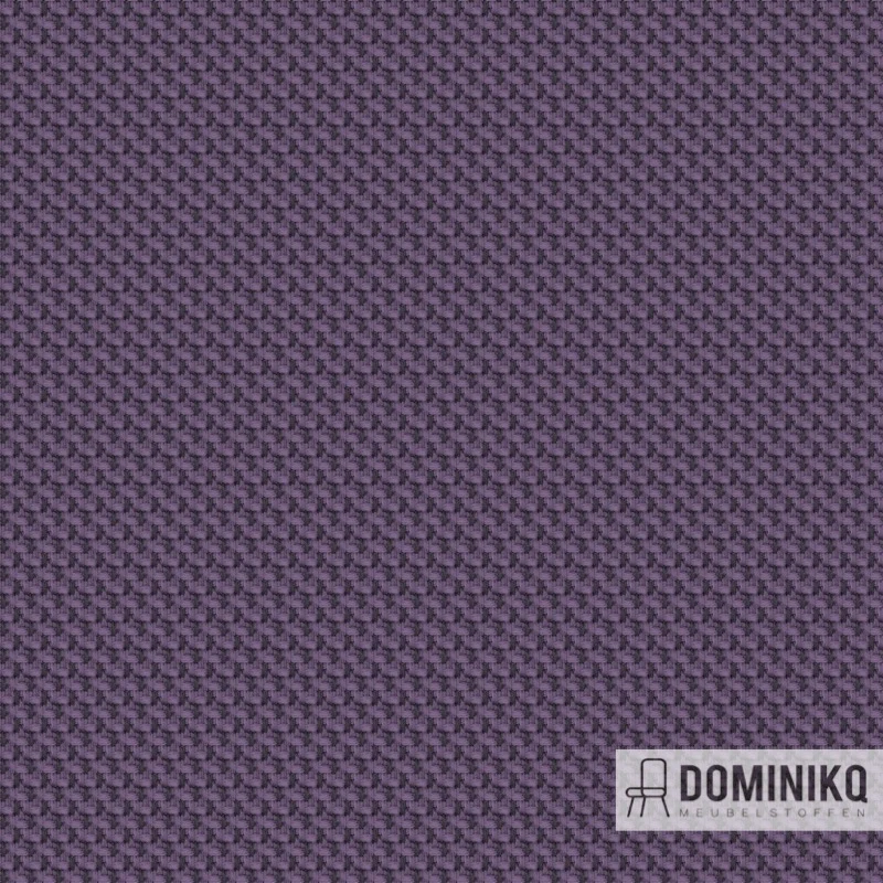 Camira - RePlay - REP31 Jet