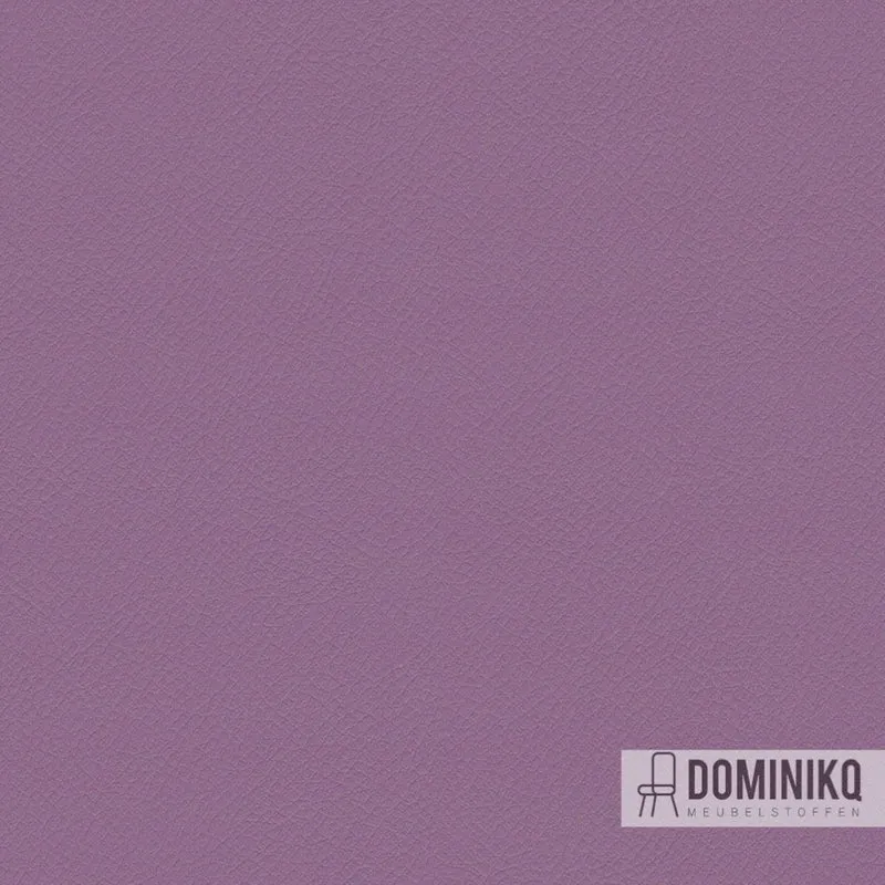 Camira Fabrics - Vita - ITA49 - Glycine