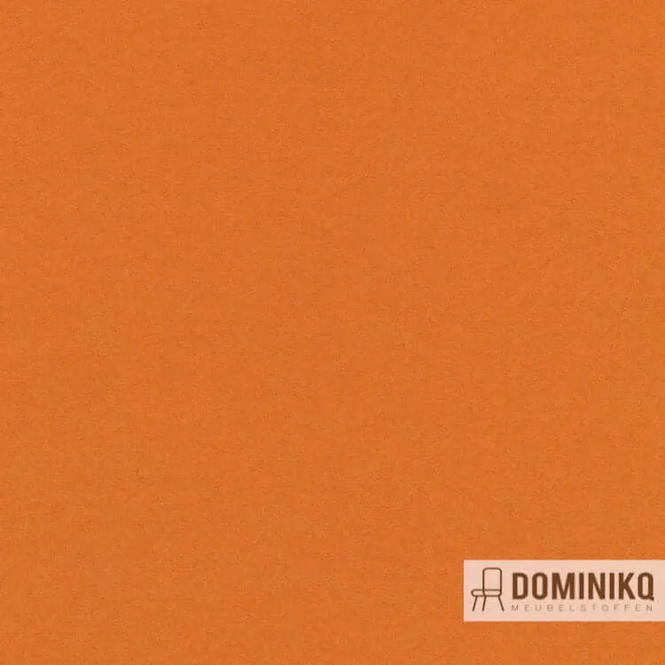 Kvadrat - Divina 3 - 444