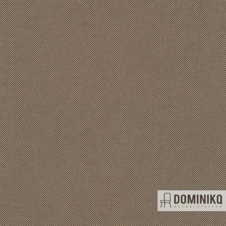 Kvadrat - Field 2 - 343