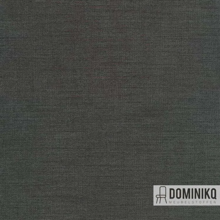 Kvadrat - Maple à 192