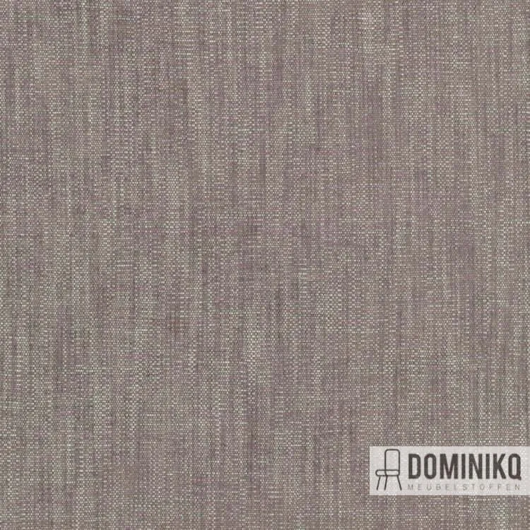 Kvadrat - Maple à 232