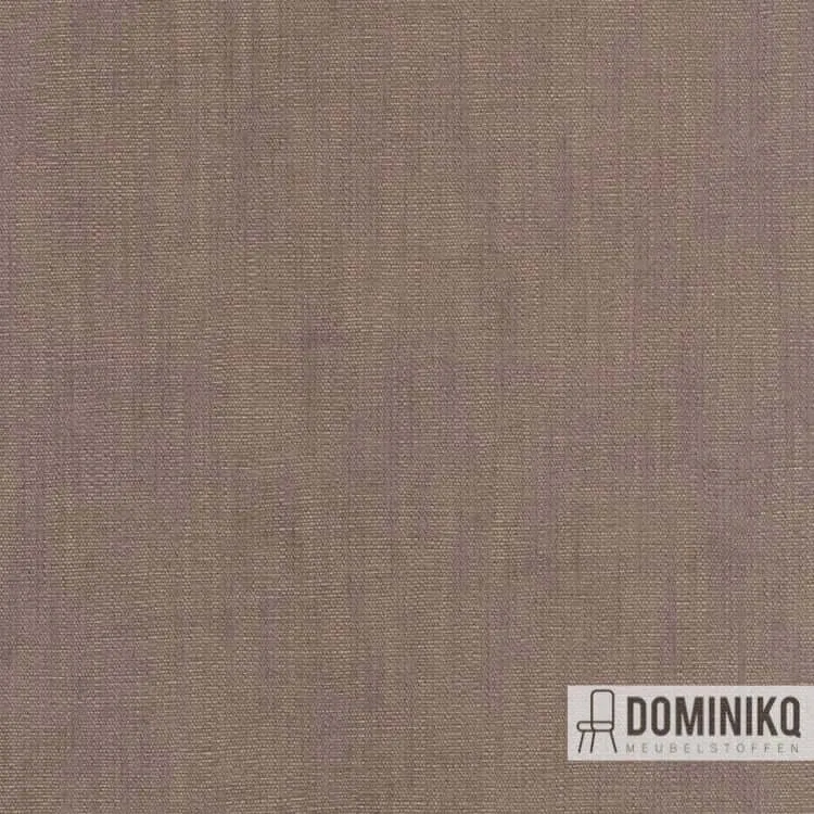 Kvadrat - Maple à 342