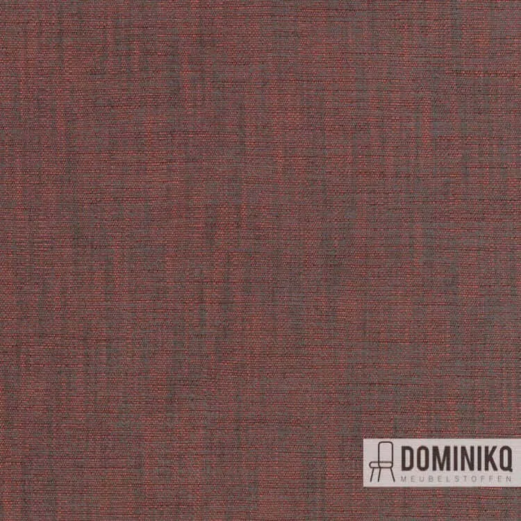 Kvadrat - Maple à 562