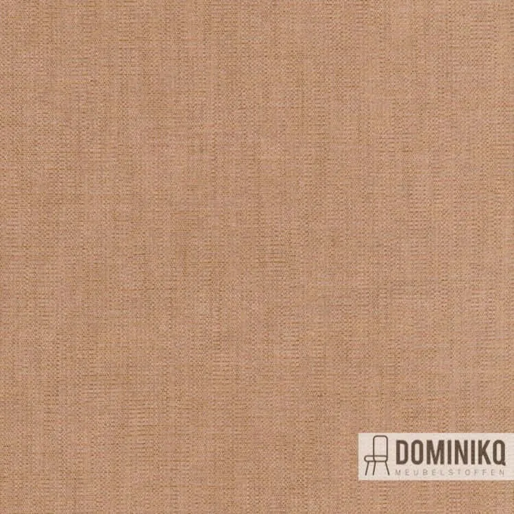 Kvadrat - Maple à 542