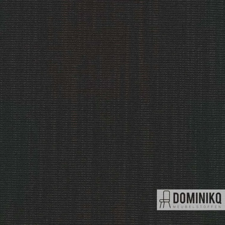 Kvadrat -Raas-192