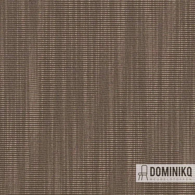 Kvadrat -Raas-252