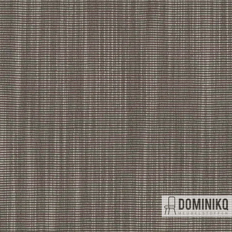 Kvadrat -Raas-242