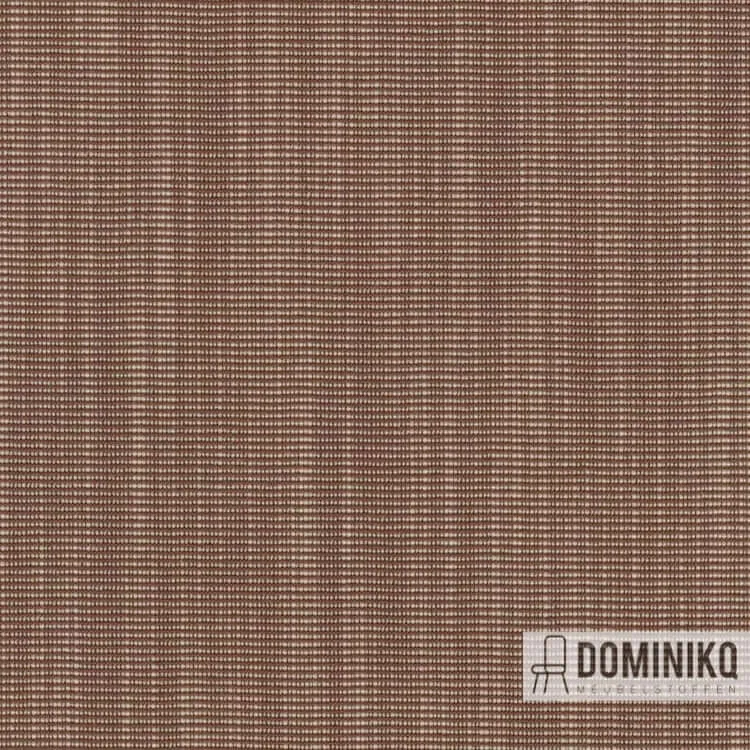 Kvadrat -Raas-462
