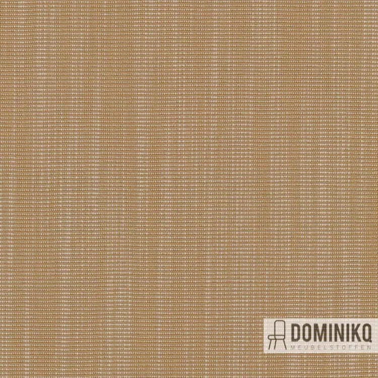 Kvadrat -Raas-442