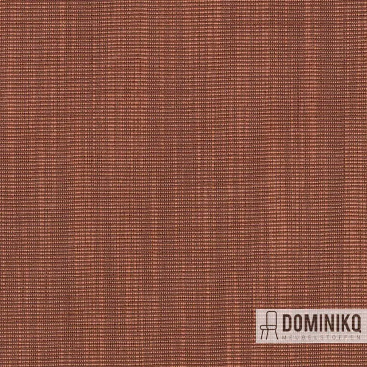 Kvadrat -Raas-552