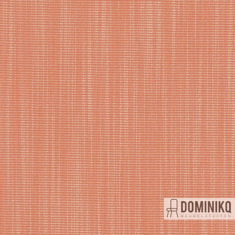 Kvadrat -Raas-532