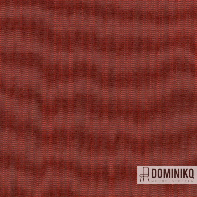 Kvadrat -Raas-572