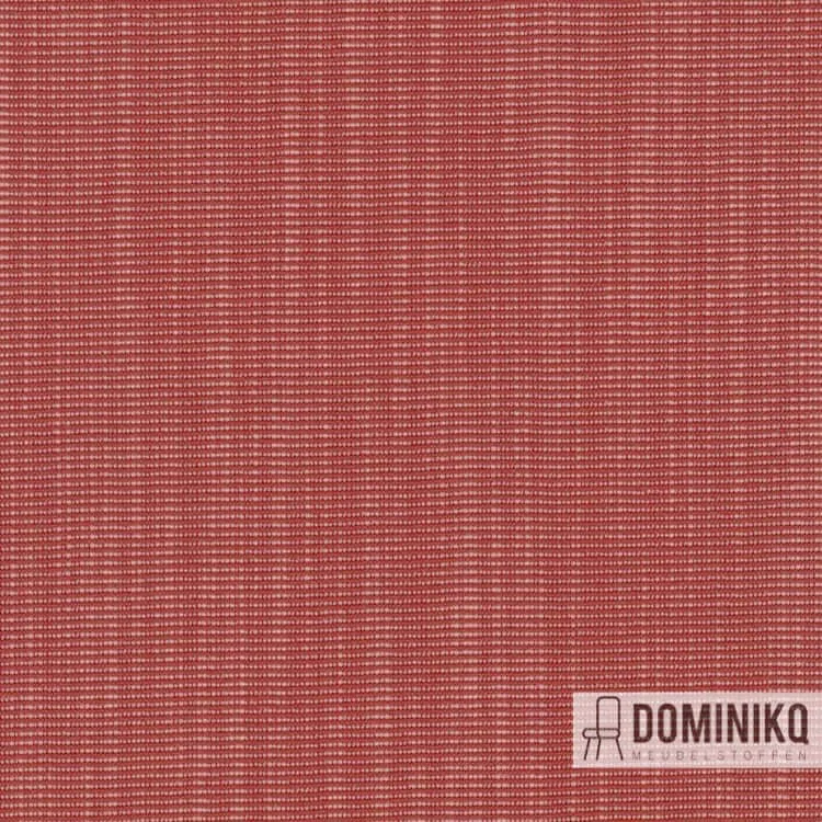 Kvadrat -Raas-562