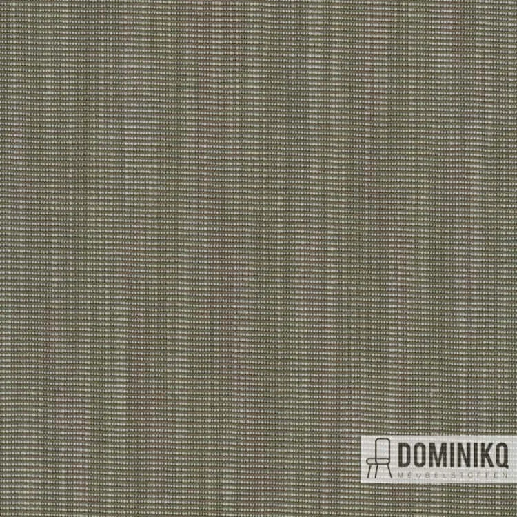 Kvadrat -Raas-952