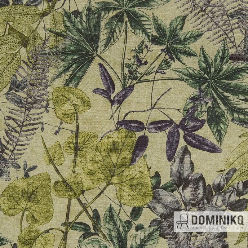 Clarke&Clarke - Exotique - Madagascar -F1301-02