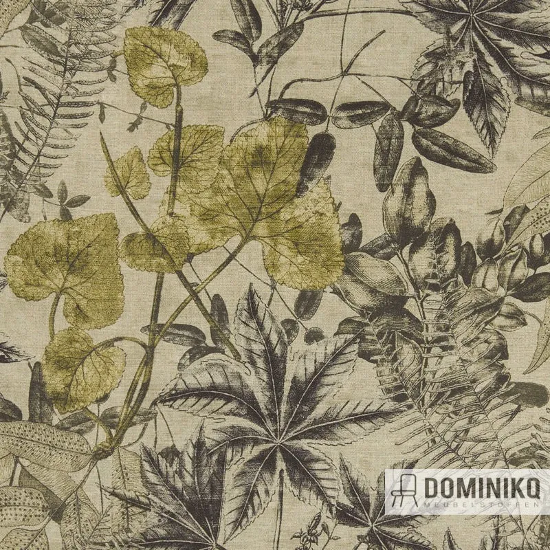 Clarke&Clarke - Exotique - Madagascar -F1301-01