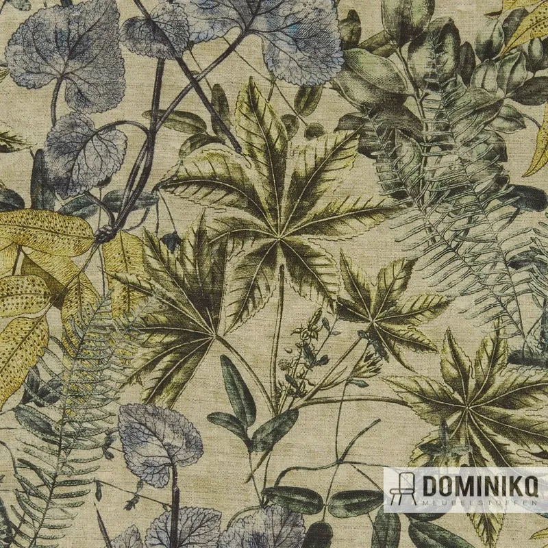 Clarke&Clarke - Exotique - Madagascar -F1301-03