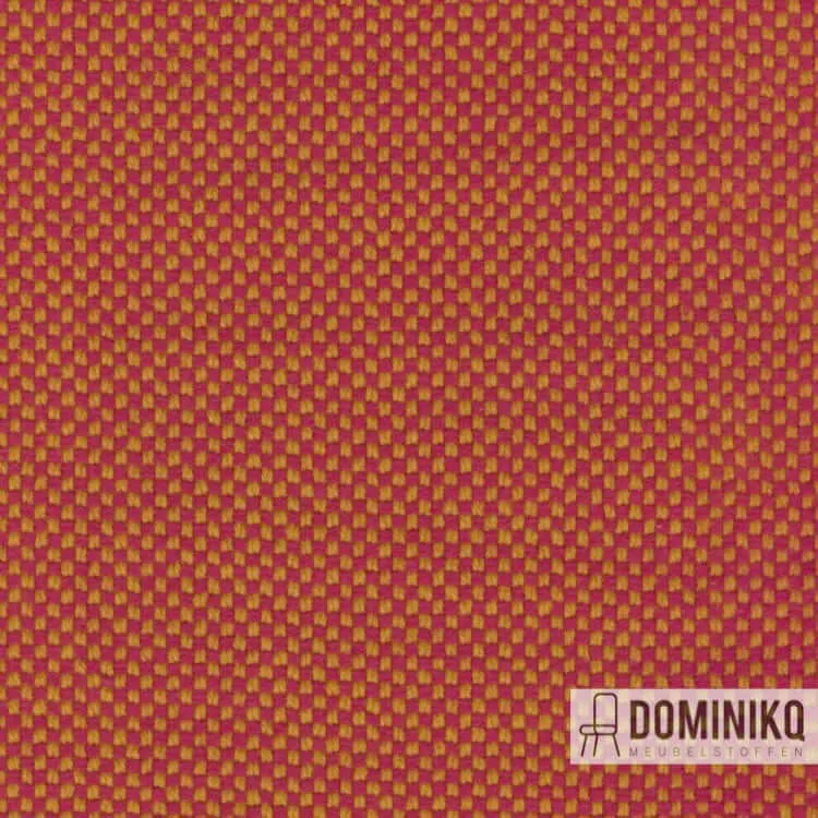 Kvadrat -Sisu-525