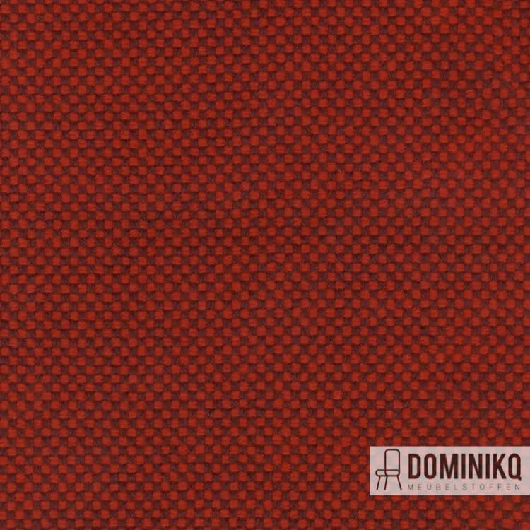 Kvadrat -Sisu-655