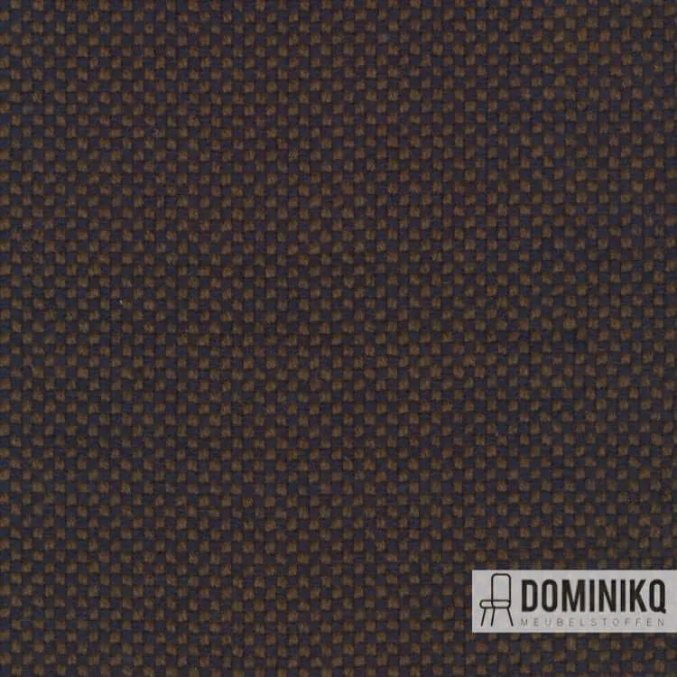 Kvadrat -Sisu-785