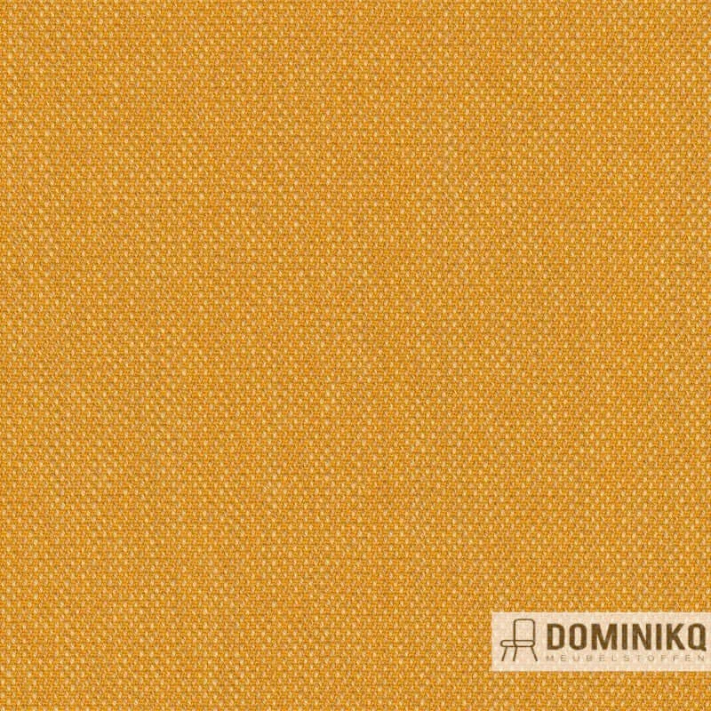 Kvadrat - Steelcut Quartet à 434