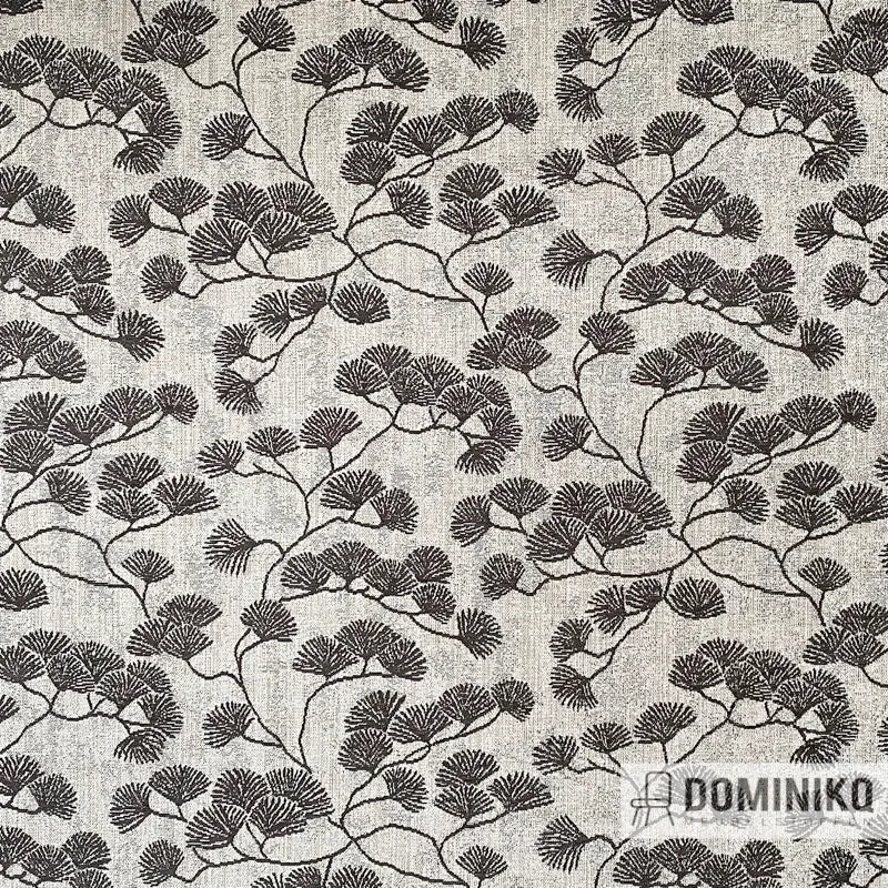 Casal - Canoas - 65 Anthracite