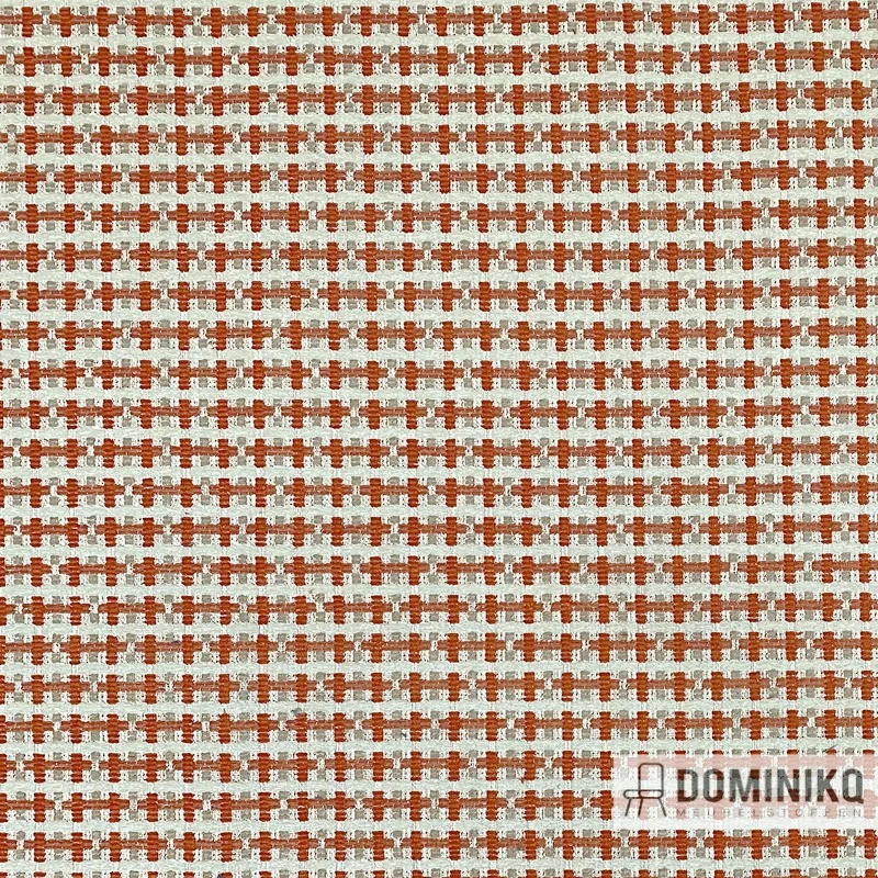 Casal - Asunta - 46 Orange