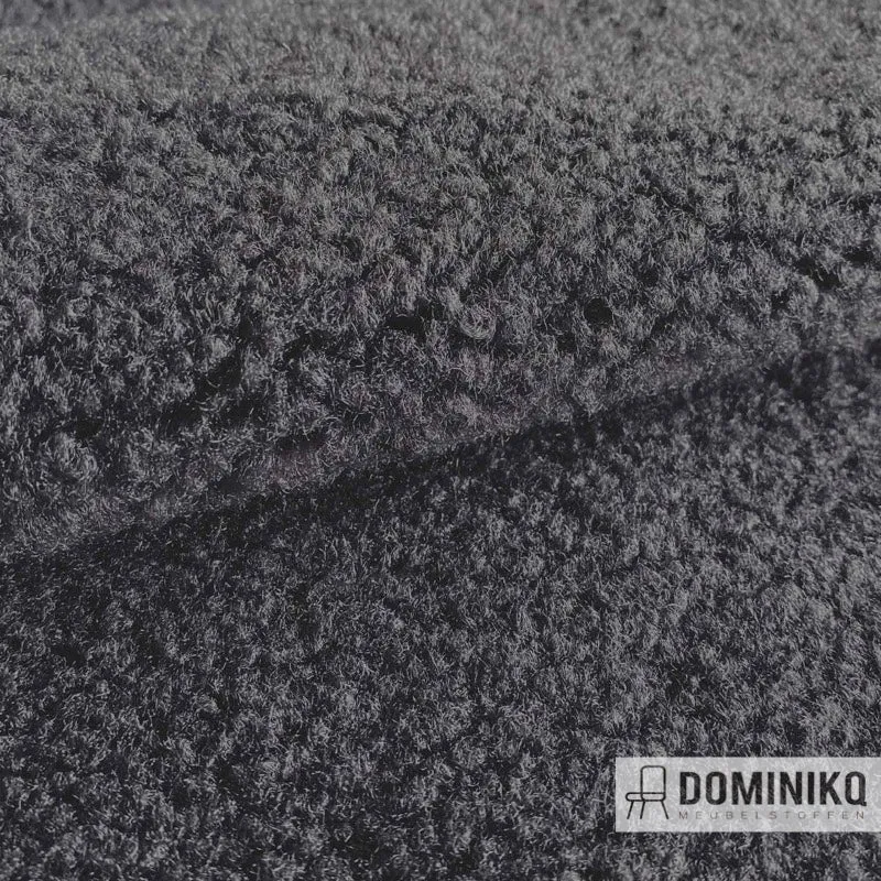 Casal -Texel-64 graphite