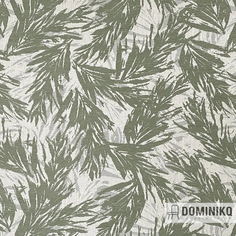 Casal -Montero - 34 Vert de Gris