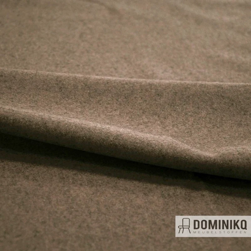 Casal - Dolly - 77 taupes