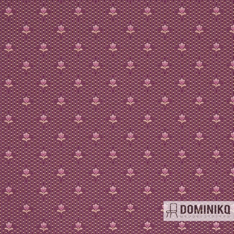 Casal - Les Classiques 322 - 13432 Carantec - 8590 Pourpre Pétunia