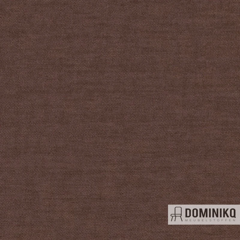 Aristide - Arthur II - 270 Chocolat