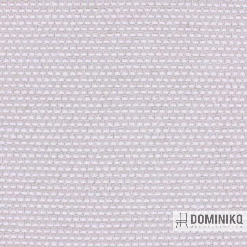 Aristide - César - 110 Colombe