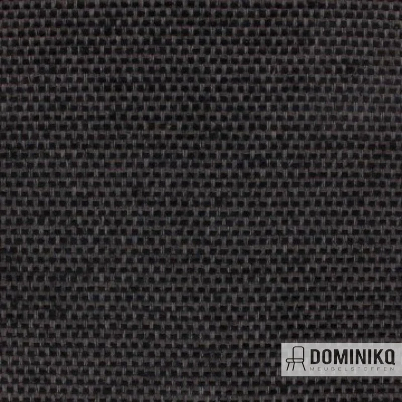 Aristide - César - 199 Black