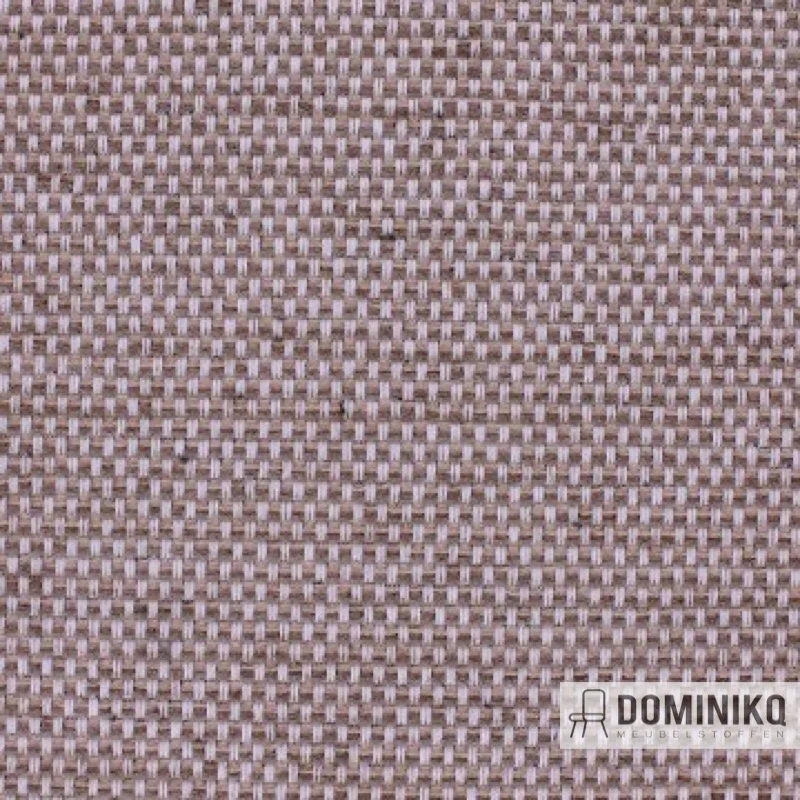 Aristide - César - 255 Moka