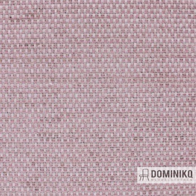 Aristide - César - 500 Poussières de Rose