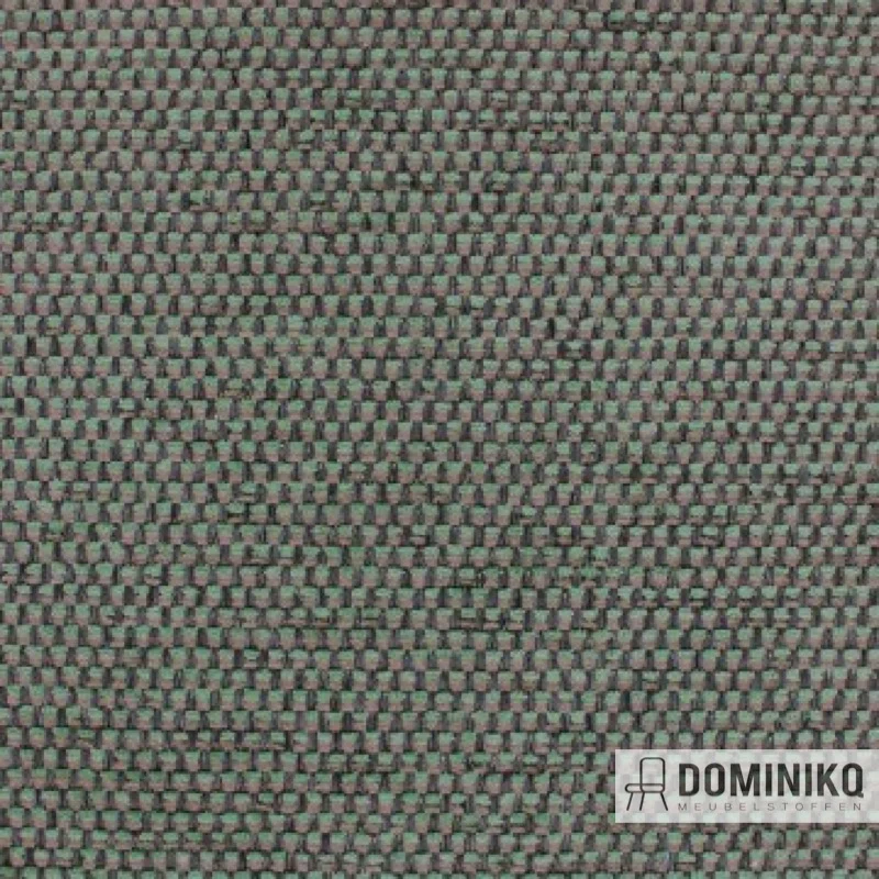 Aristide - César - 730 Emerald