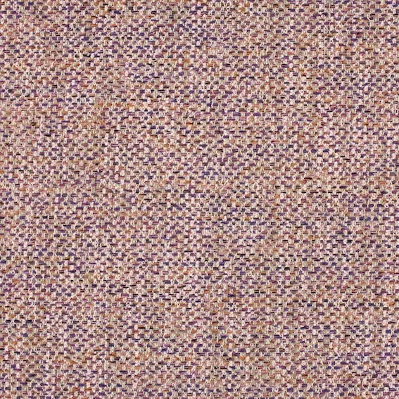 Aristide - David - 585 violettes