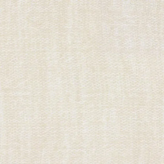 Aristide - Demi - 215 Champagnes