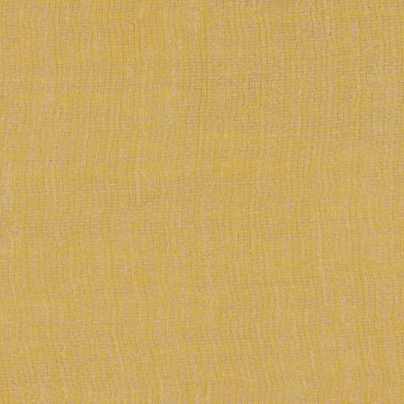 Aristide - Demi - 310 Bouton d'Or