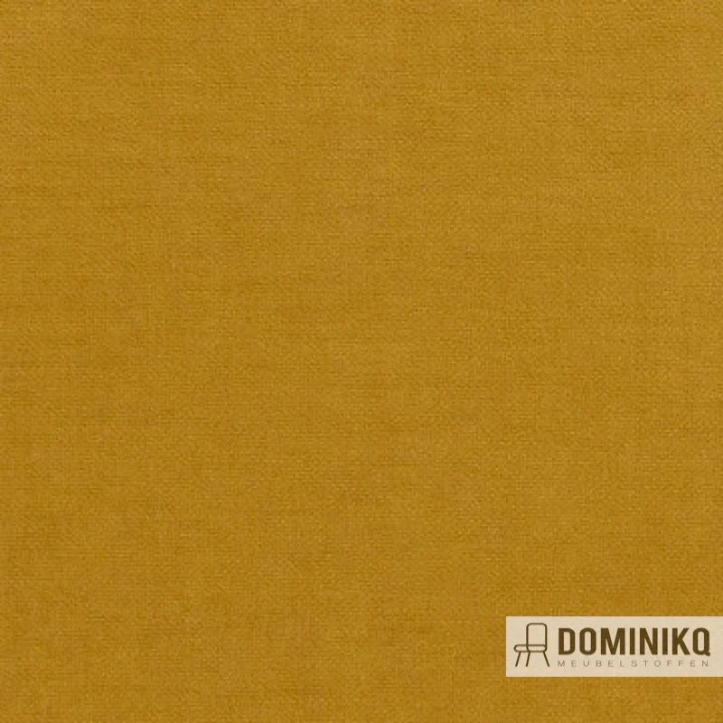 Aristide - Arthur II - 350 Ocre