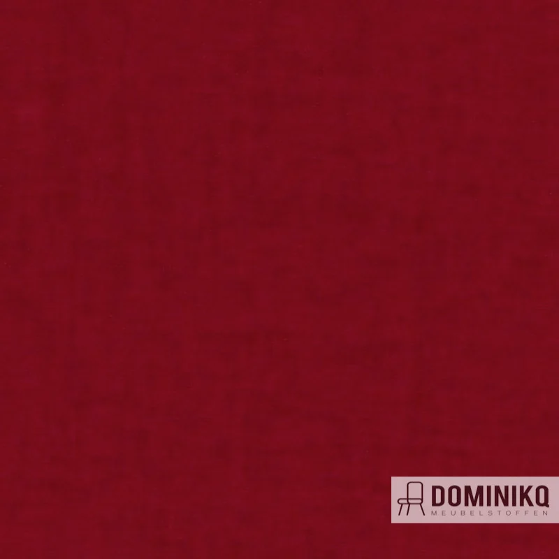 Aristide - Arthur II - 540 Fuchsia