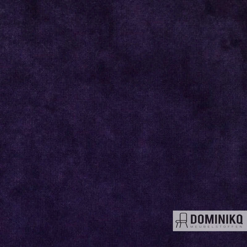 Aristide -Avalon II-036 Amethyste