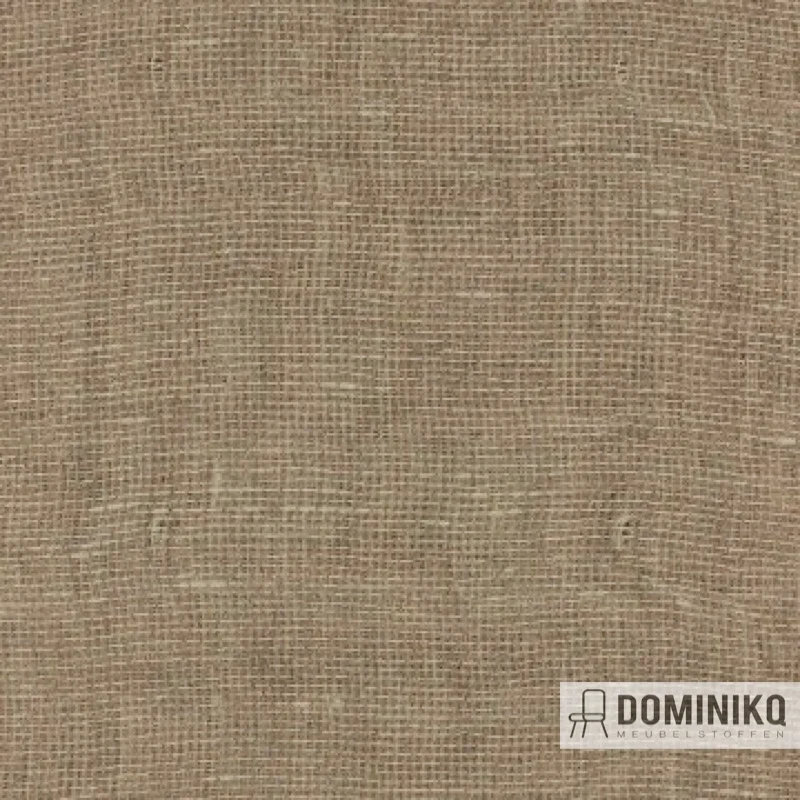Aristide - Blink à 226 Bronze